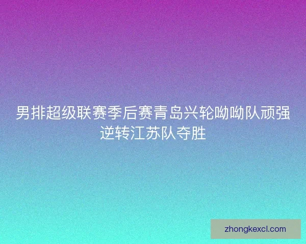 男排超级联赛季后赛青岛兴轮呦呦队顽强逆转江苏队夺胜