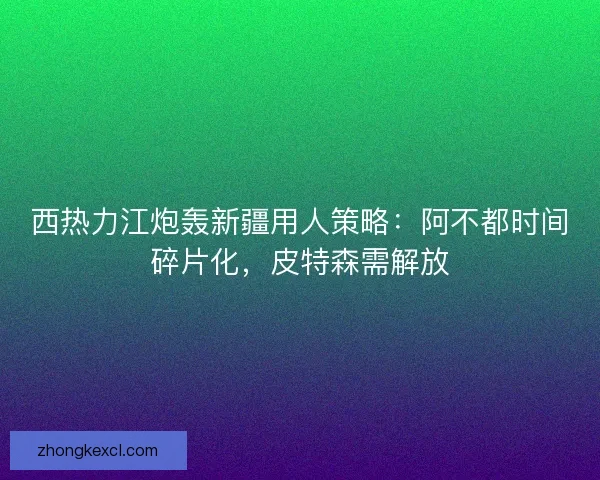 西热力江炮轰新疆用人策略：阿不都时间碎片化，皮特森需解放